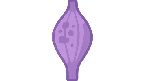 Muscular dystrophies