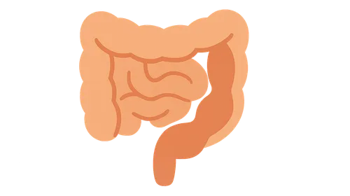 Neonatal Intestinal Obstruction