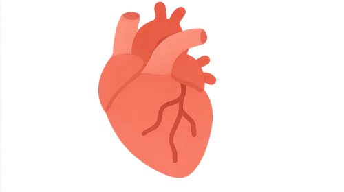 Acute decompensated heart failure