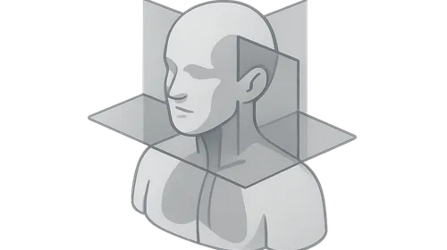 Anatomical planes and reference lines