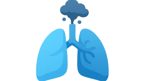 Air Pollution Related Conditions