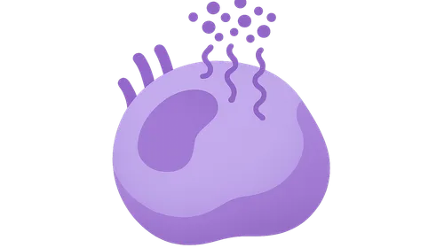 Defects in Signal Transduction and Disease