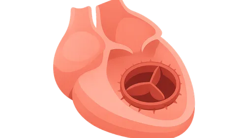 Valve replacement and repair procedures