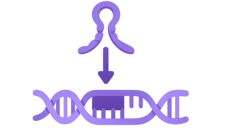 miRNA and RNA Interference