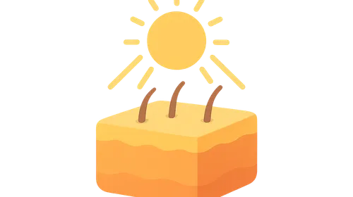 Fundamentals of Photobiology