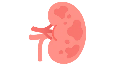 Complications of Transplantation