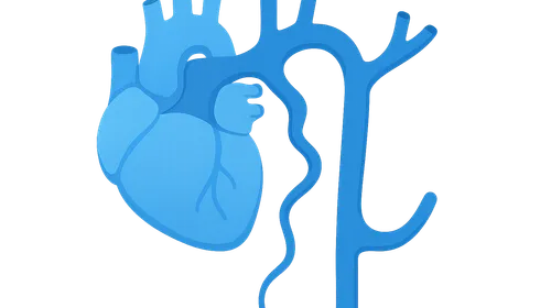 Great Vessels and Azygos System