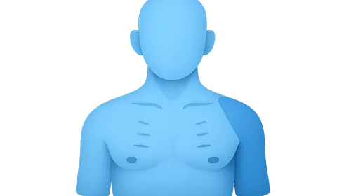 Surface Landmarks of the Thorax