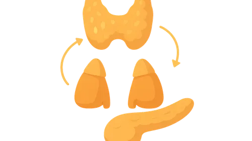 Integration of metabolic regulation