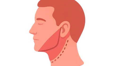 Reconstructive Techniques in Head and Neck Surgery