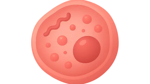 Reversible cell injury mechanisms