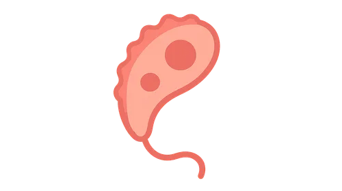 Blood and Tissue Protozoa