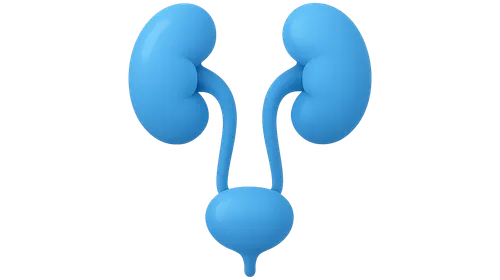 Renal and Urinary Tract Imaging