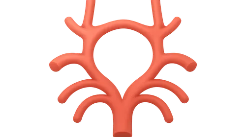 Communicating arteries