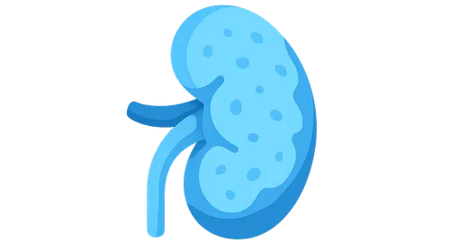 Chronic Kidney Disease