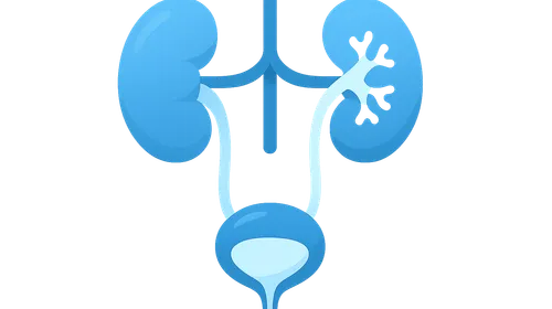 Intravenous Urography