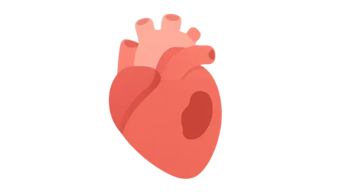 NSTEMI management algorithm