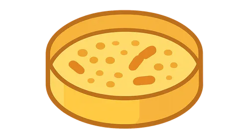 Culture Methods and Media