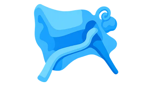 Facial Nerve Decompression