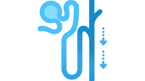 Diuretic mechanisms of action