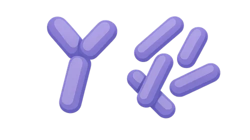 Corynebacterium and Listeria — MCQs