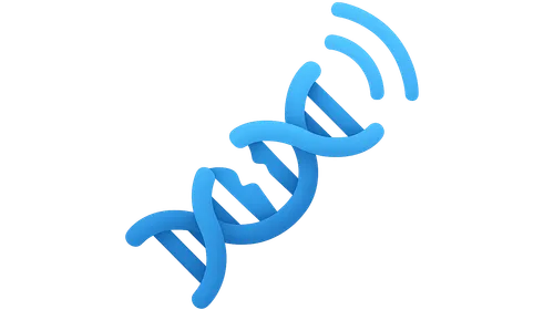 DNA damage response signaling