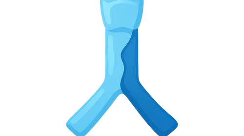 Congenital Airway Anomalies