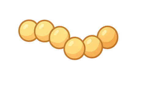 Streptococci and Enterococci