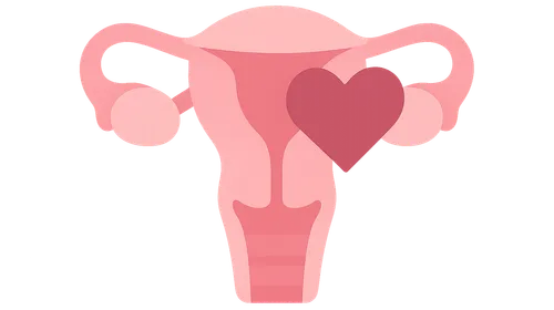 Maternal Comorbidities