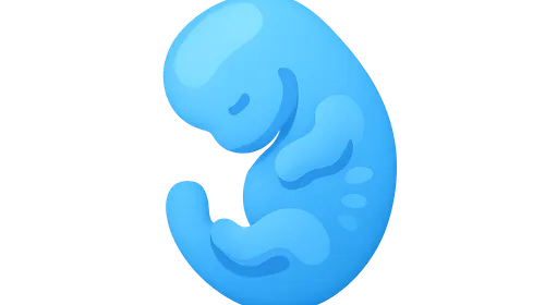 Developmental Anatomy