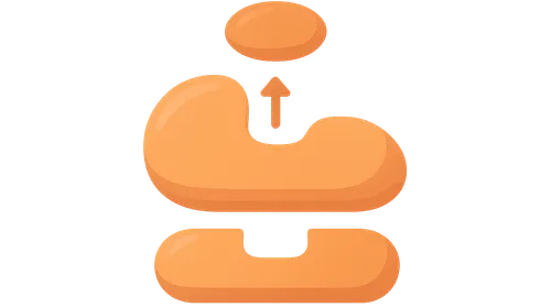 Enzyme Kinetics and Michaelis-Menten Equation