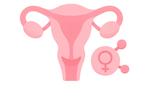 Hormonal Influences on Sexual Function