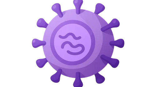 Cytomegalovirus antivirals