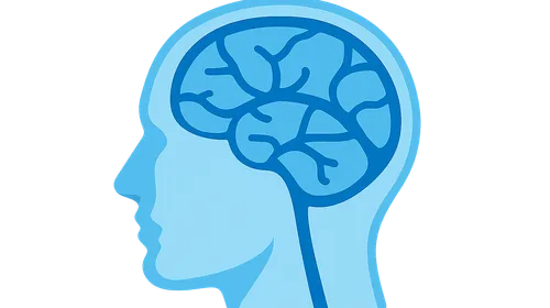 Dural Venous Sinuses