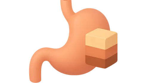 H2 Receptor Antagonists