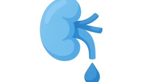 Titratable acid excretion