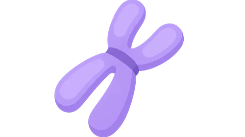 Mendelian inheritance patterns