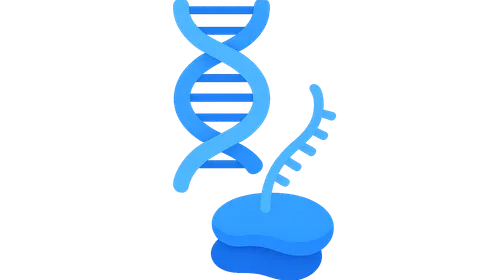 Transcription/translation