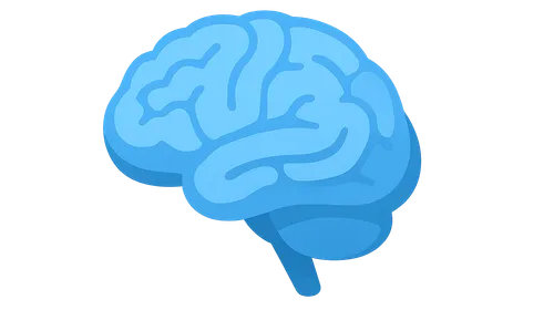 Applied Neuroanatomy