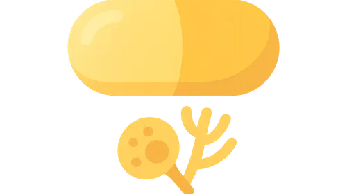 Azoles (imidazoles and triazoles)