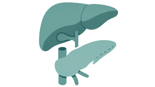 Liver Transplantation Basics