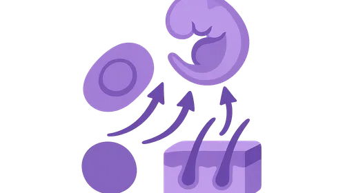 Molecular Mechanisms in Development