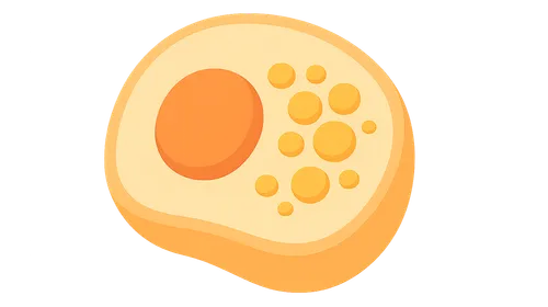 Intracellular accumulations
