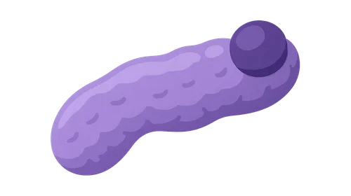 Endocrine Tumors of Pancreas