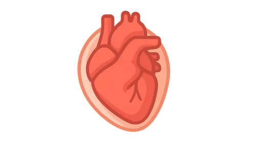 Heart and Pericardium