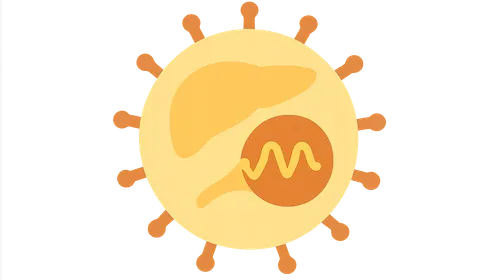Natural history of HCV infection