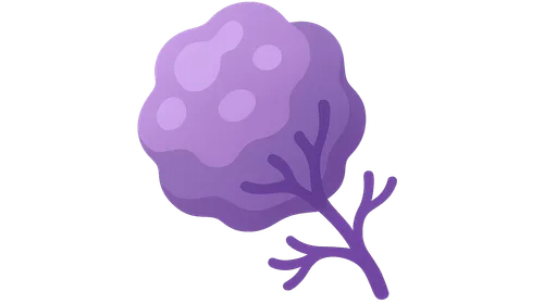 Cancer Biology Basics