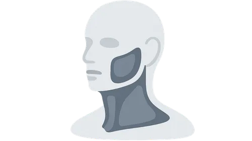 Head and neck fascial spaces