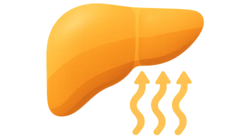 Detoxification Pathways