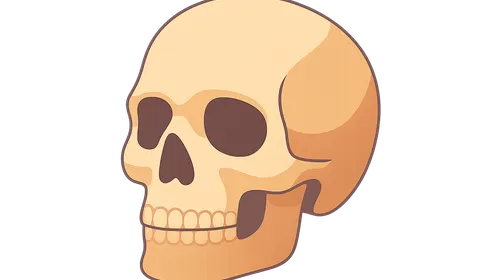 Forensic Anthropology